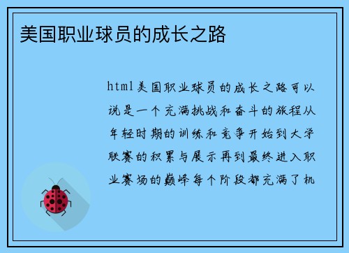 美国职业球员的成长之路