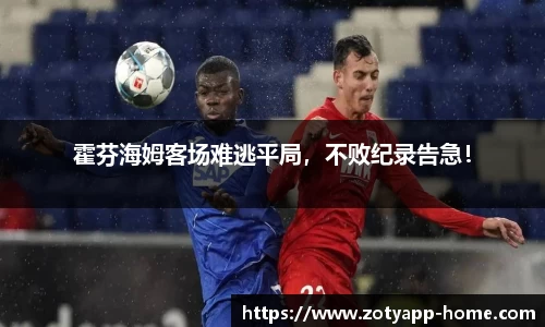 中欧体育