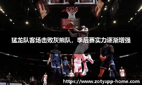 中欧体育app