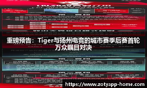中欧体育