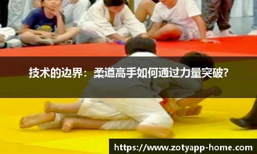 中欧体育官网