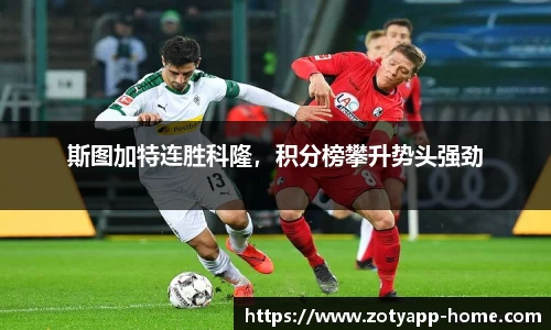 中欧体育app