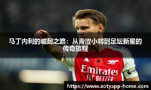 中欧体育